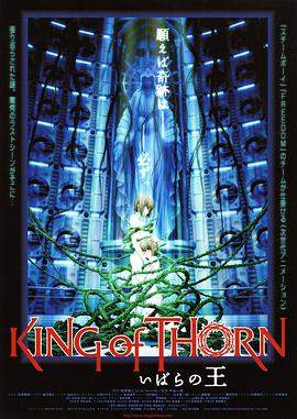 古城荆棘王 封面