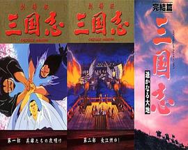 三国志:英雄的黎明 封面