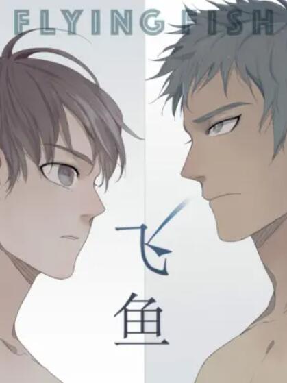 飞鱼 封面