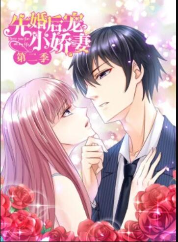 先婚后宠小娇妻 第二季 封面