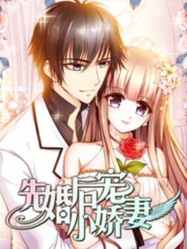 先婚后宠小娇妻 封面