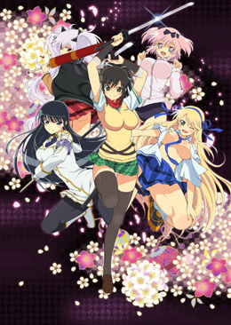 闪乱神乐 第二季 封面