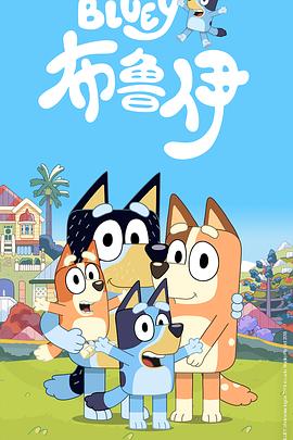 布鲁伊 封面