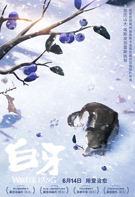 白牙国语 封面