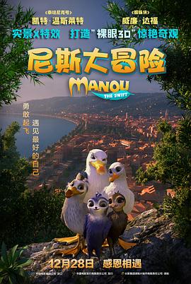 尼斯大冒险 封面