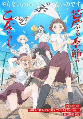 骚动时节的少女们啊 封面