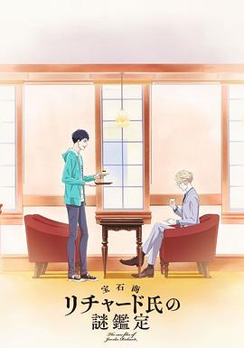 宝石商人理查德的谜鉴定 封面