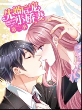 先婚后宠小娇妻 第三季 封面