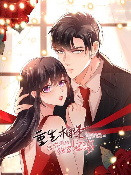 重生相逢:给你我的独家宠溺 封面