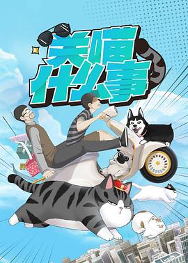 关喵什么事 封面