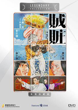 贼赃 封面